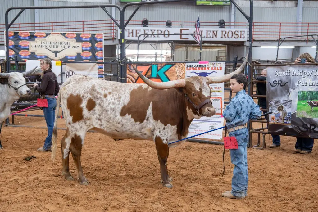 Glen Rose Expo Rodeo