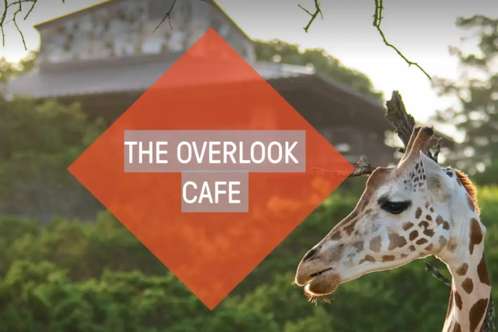 The Overlook Cafe