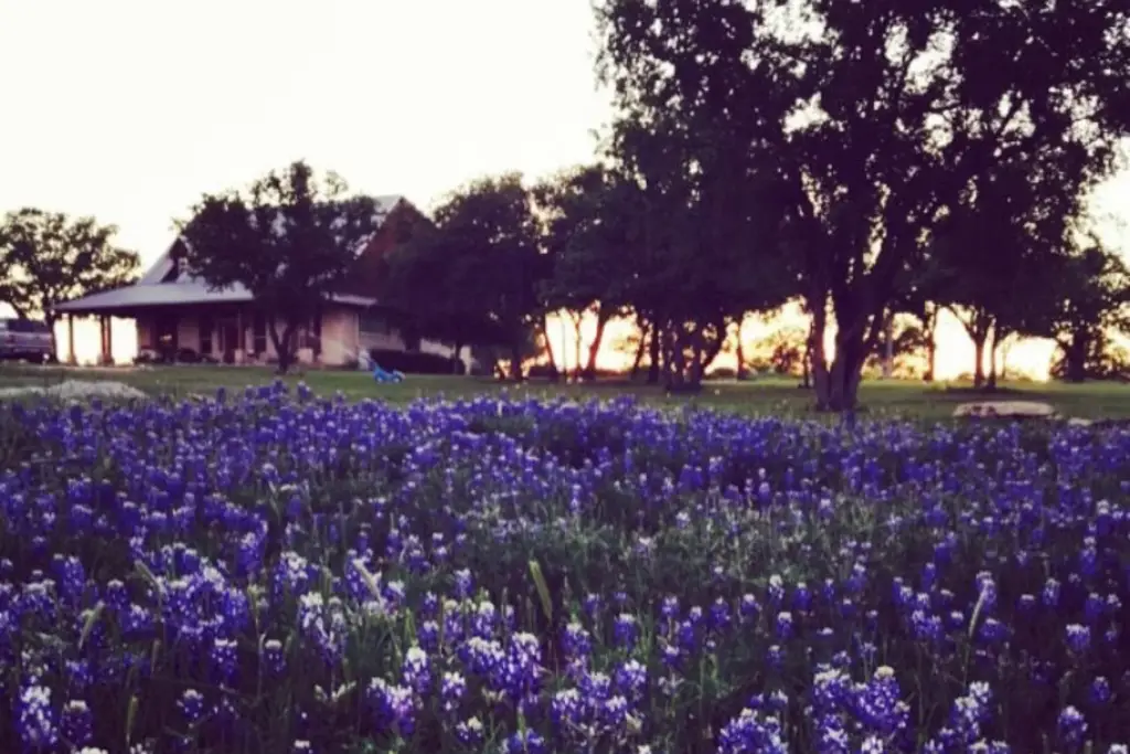 Brazos House Retreat